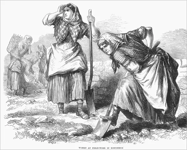 IRELAND: FIELD WORK, 1870. Women at Field-Work in Roscommon. Wood engravaing, English, 1870