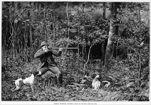 BIRD SHOOTING, 1886. Summer Woodcock Shooting. Line engraving, American, after J. M. Tracy, 1886
