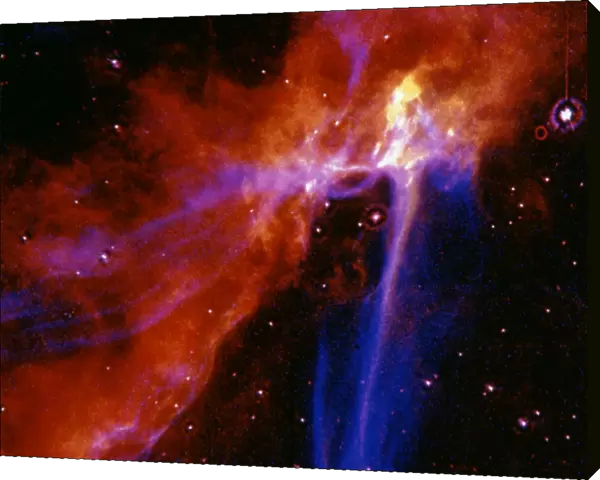 SPACE: SUPERNOVA. A portion of the Cygnus Loop supernova remnant in the constellation Cygnus. Photographed by the Hubble Space Telescope Wide Field  /  Planetary Camera, 1991