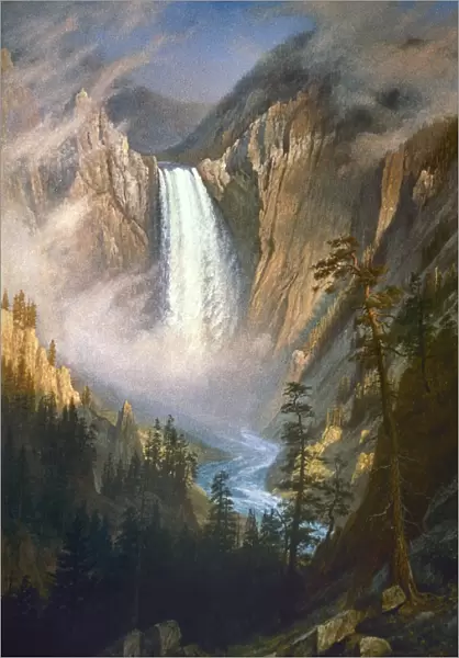 BIERSTADT: YELLOWSTONE. Yellowstone Falls. Oil on canvas by Albert Bierstadt, c1881