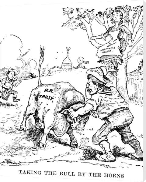 Taking the Bull By the Horns. Cartoon from the Minneapolis Journal on President Roosevelts action in bringing suit against the Northern Securities Corporation