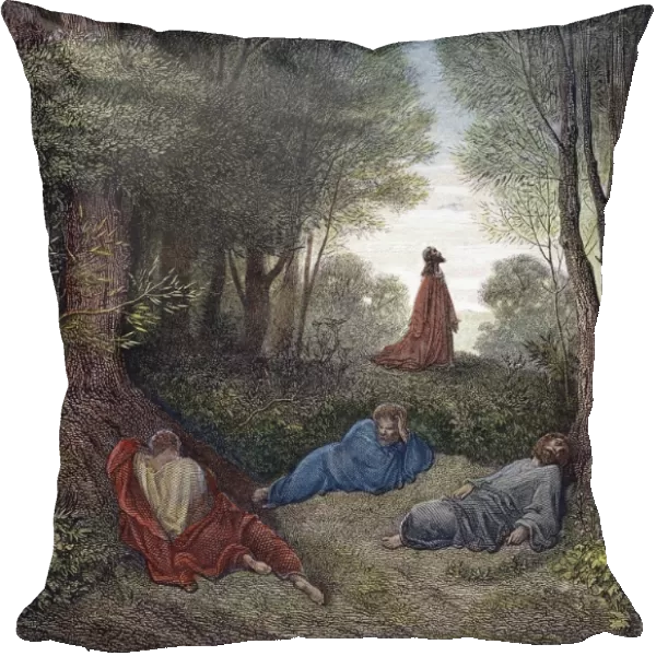 Jesus prays in the garden of Gethsemane as the Apostles sleep (Matthew 26: 39). Wood engraving after Gustave Dor