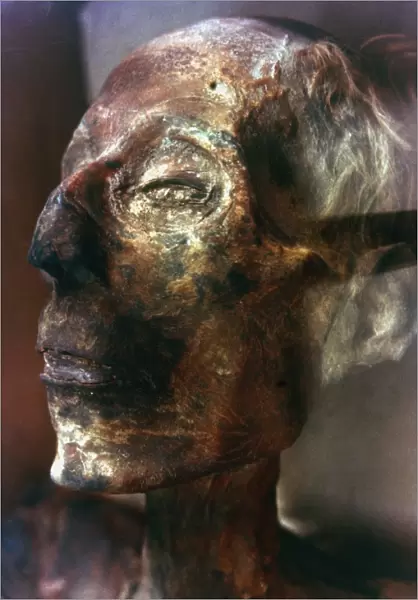 Mummified head of King Ramses II of Egypt