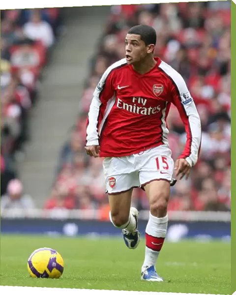 Denilson of Arsenal in Action at Emirates Stadium during the 0-0 Barclays Premier League Match against Fulham, London, 2009