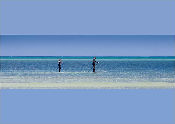 Two paddleboarders at Orewa in Auckland Region, New Zealand