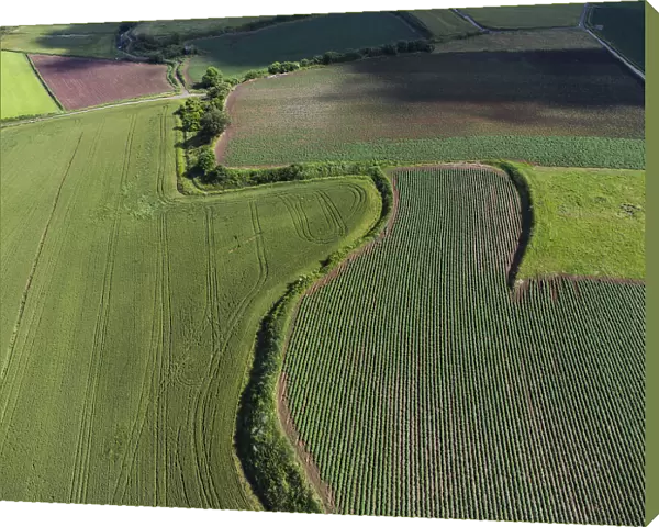 View of a patchwork farmland. The high population density, the millennial agricultural and zootechnical activity, the breeding have strongly conditioned and transformed the Italian territory