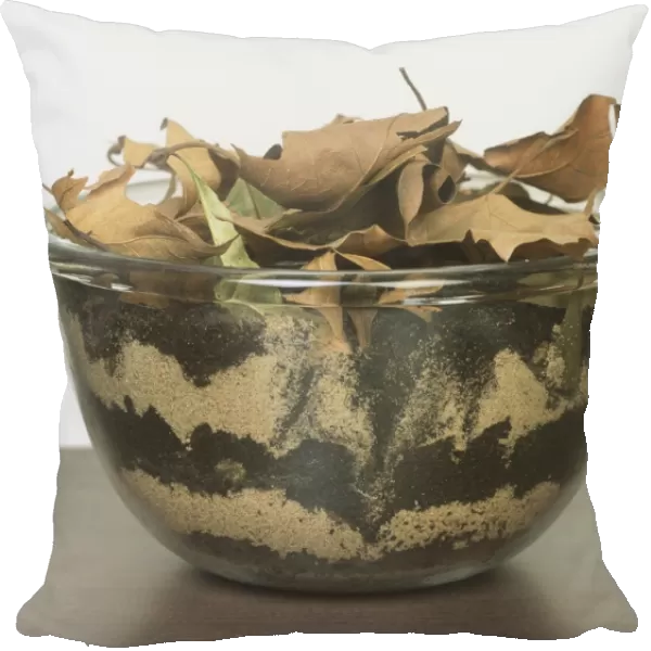 Large glass bowl containing leaves, layers of damp sand and peat with earthworms
