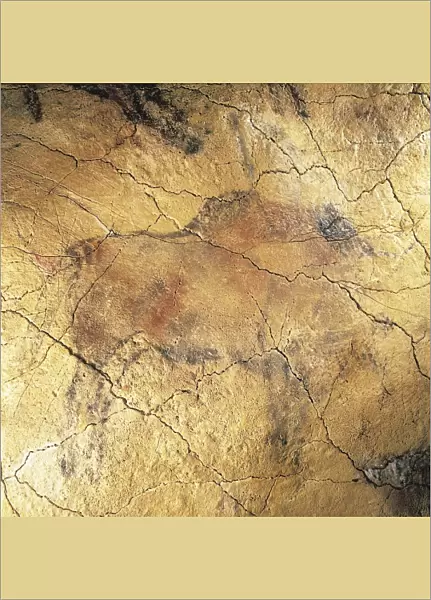 Spain, Cantabria, Altamira Cave, Upper Paleolithic cave paintings representing bison in black