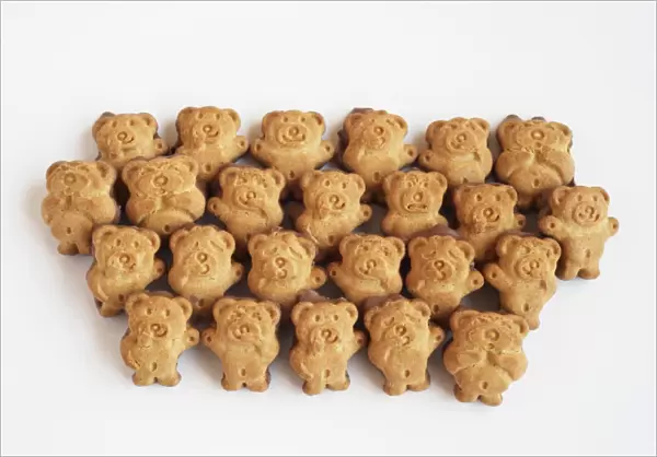Teddy shaped biscuits arranged in rows