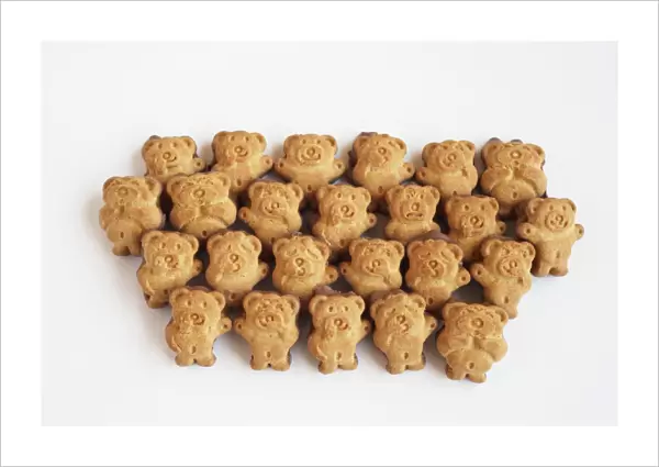 Teddy shaped biscuits arranged in rows