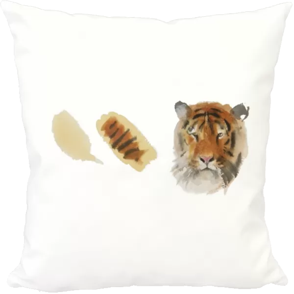 Watercolour painting of tigers head next to examples of how to paint fur