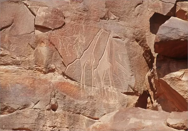 Libya, Sahara Desert, Fezzan, Rock art at Wadi Mathendush, Giraffes