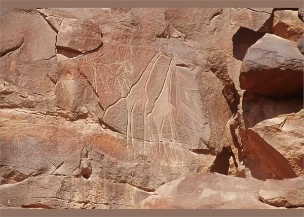 Libya, Sahara Desert, Fezzan, Rock art at Wadi Mathendush, Giraffes