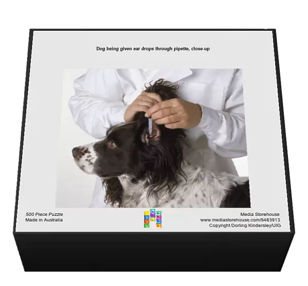 Dog being given ear drops through pipette, close-up
