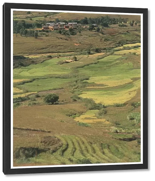 Madagascar, Agricultural landscape between Fianarantsoa and Isalo mountains