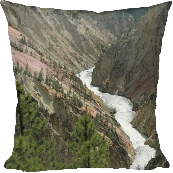 USA, Wyoming, Yellowstone National Park (UNESCO World Heritage List, 1976). Grand Canyon