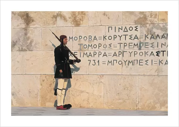 Side profile of a soldier standing in front of a wall of a government building, Parliament Building, Athens, Greece