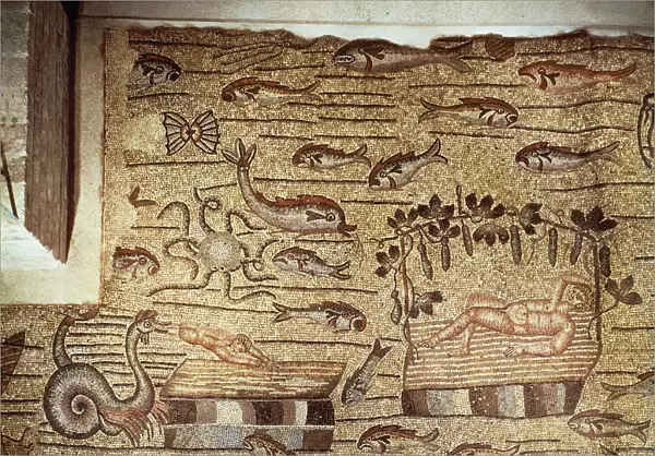 Italy, Friuli, Venezia Giulia Region, Aquileia (Udine Province), Patriarchal Basilica. Stories of Jonah. Floor mosaic
