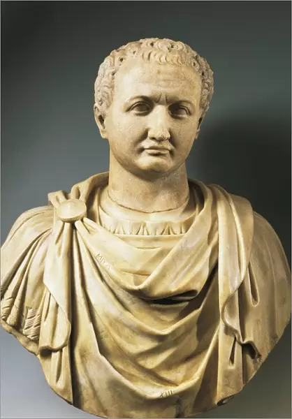 Bust of Emperor Titus (Titus Flavius Vespasianus, 39 - 81 A. D. ), Flavian dynasty, imperial age, marble