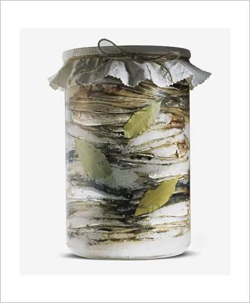 Salt-cured sprats in glass jar, with bay leaves