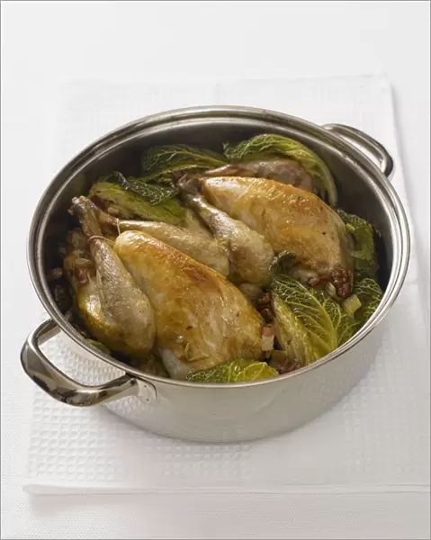 Pot-roast guineafowl with savoy cabbage and walnuts, high angle view