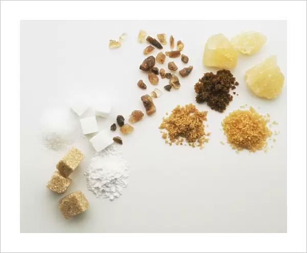 Above view of various forms of Sugar including Coffee sugar, Muscovado sugar, Granulated, cube, icing, brown and white sugar, yellow Rock sugar, Barbados sugar, and Demerara sugar