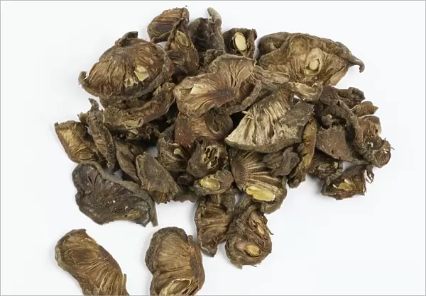 Heap of dried kokum fruit