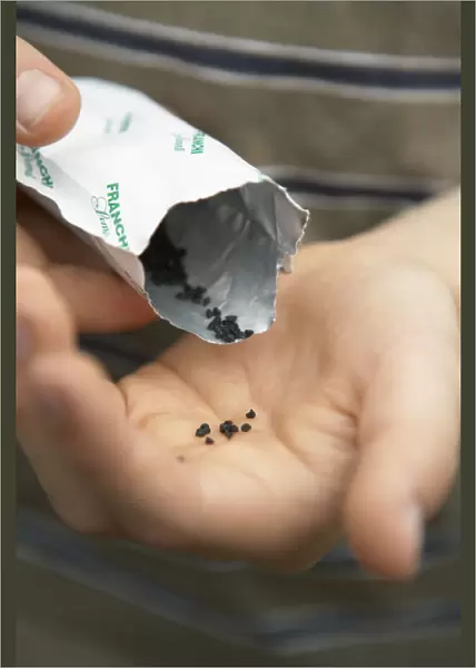 Person tipping leek seeds from bag onto palm of hand
