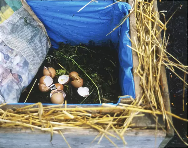 Worm bin lined with plastic, wood and straw, containing soil and eggshells and a sheet of newspaper, high angle view