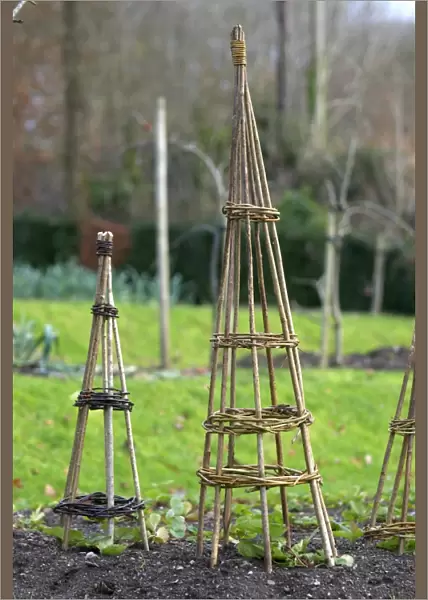 Willow wigwams