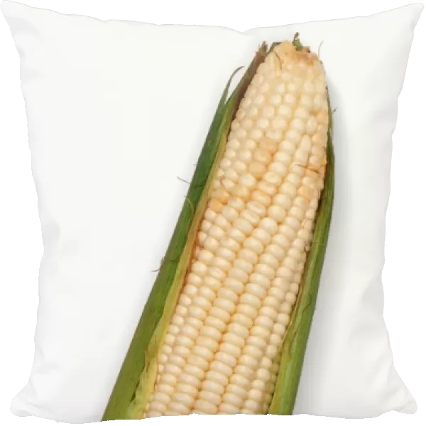 Ear of ripe white maize, kernel