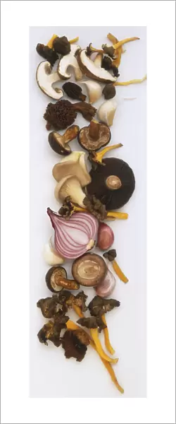 Half a Red Onion, cloves of Garlic and a selection of mushrooms, including chanterelles, shiitake, morels and oyster mushrooms