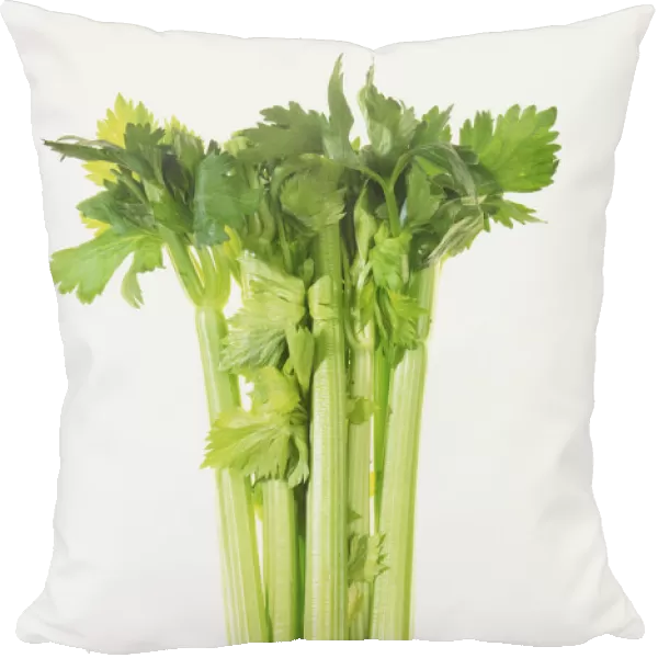 Bunch of celery stalks