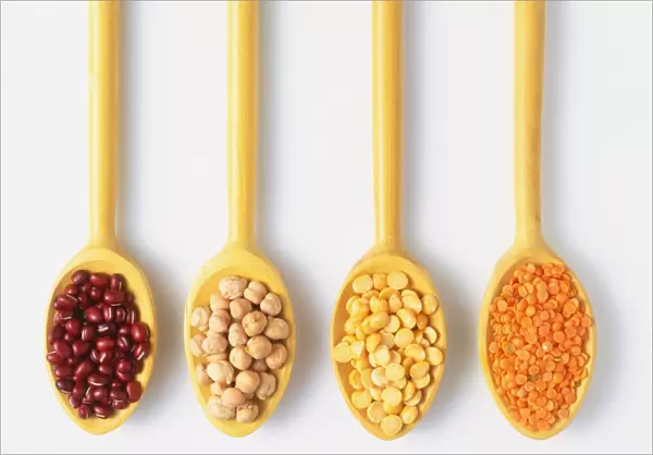 Four wooden spoons showing different types of Lens culinaris, Lentils, view from above