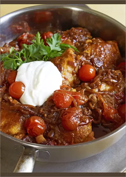 Chicken paprikash in pan, close-up