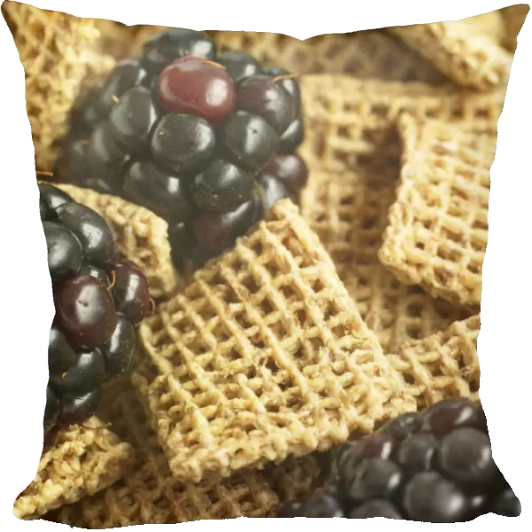 Wheat cereal squares with blackberries