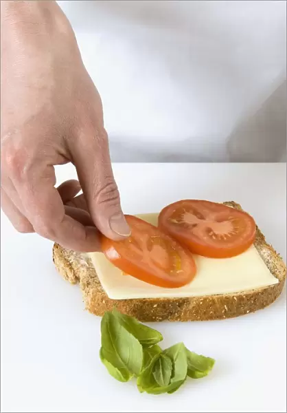 Cheese, Tomato and Basil Sandwich