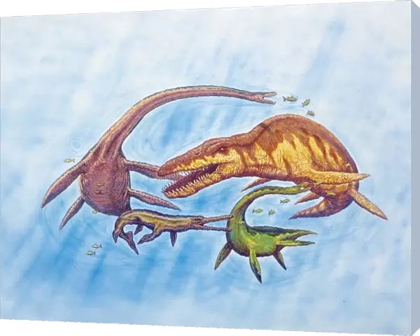 Illustration of Marine dinosaurs including Plesiosaurs