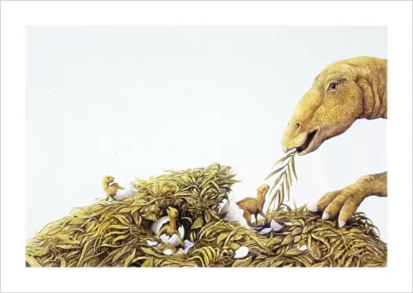 Illustration representing Maiasaura with young in nest