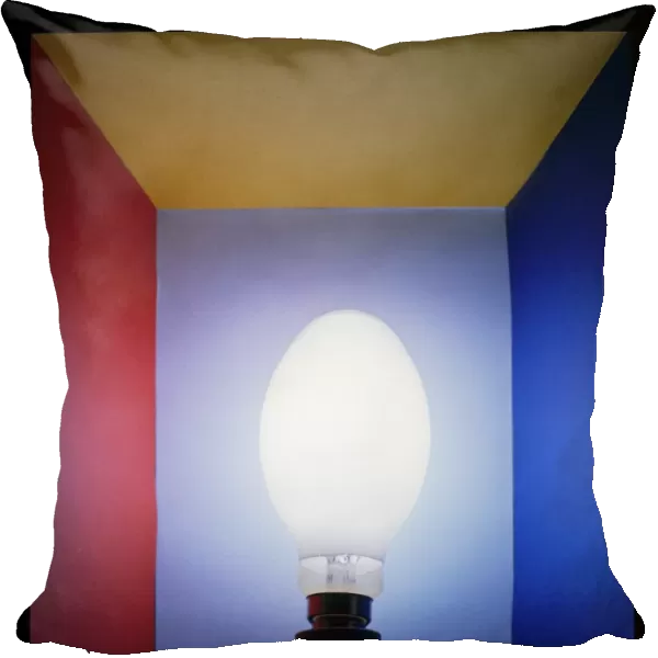 High-pressure sodium lamp