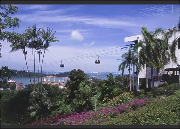 Singapore, Mount Faber, cable cars travelling above treetops, flowering shrubs and palm trees in foreground, ships in sea in distance, blue sky above