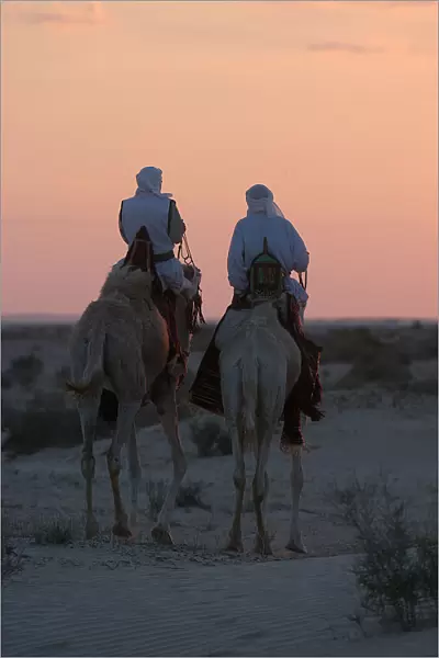 Bedouins on dromedaries into the sunset
