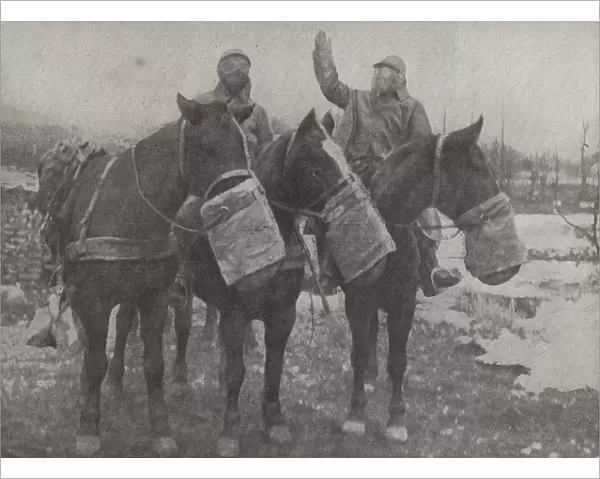 Gas masks for horses