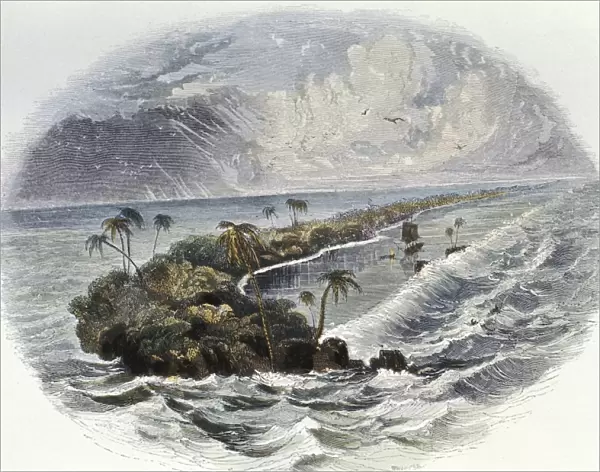 Coral Reef: hand coloured engraving published 1849