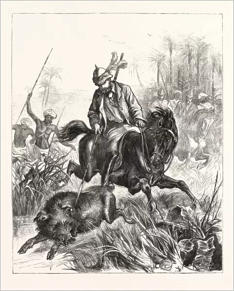 IN INDIA, The Prince of Wales, pig-sticking. hunt, hunting, engraving 1876
