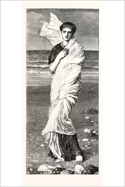 Shells, From The Picture By Albert Moore