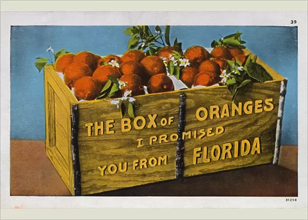 Crate of Florida Oranges. ca. 1911, Florida, USA, THE BOX of ORANGES I PROMISED YOU FROM FLORIDA