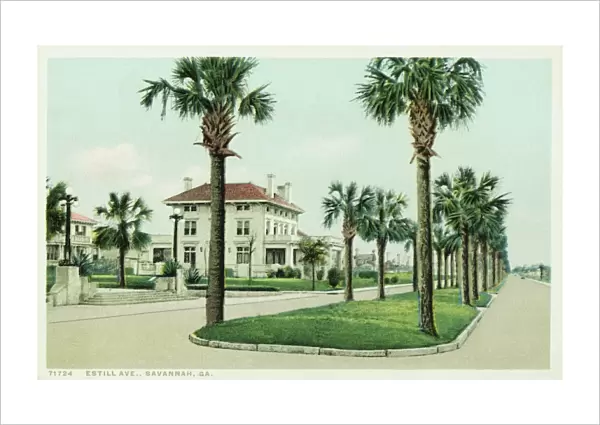 Estill Ave. Savannah, GA. Postcard. ca. 1915-1930, Estill Ave. Savannah, GA. Postcard