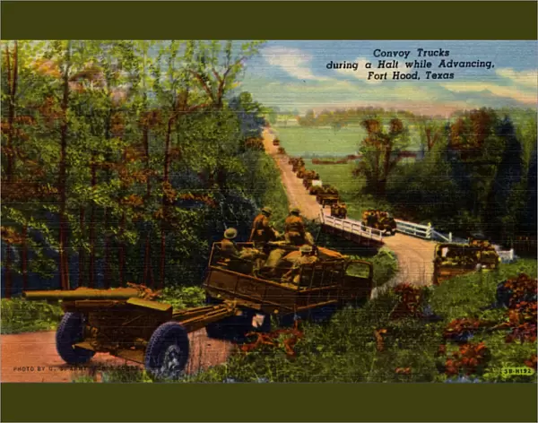 Convoy Trucks During a Halt While Advancing, Fort Hood, Texas