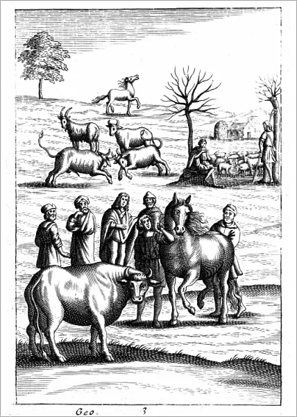 Sheep, cattle, horses and goats: In foreground a horse and a cow are being assessed by farmers